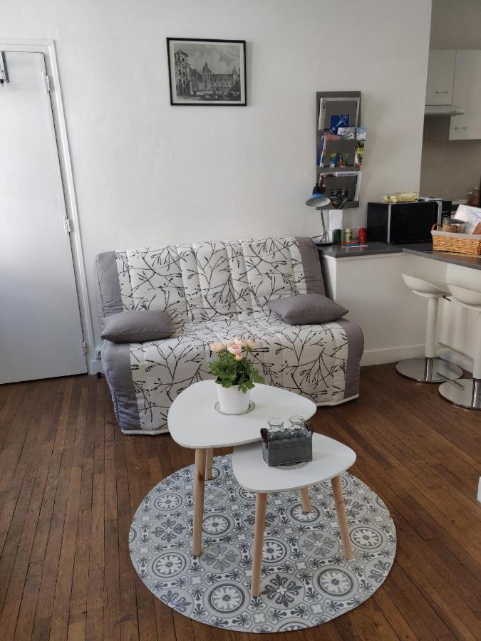 Apartment La Tranquillite Proche Des Chateaux De La Loire.